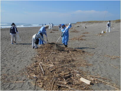 20210731isizakihama-beach_clean-3.jpg